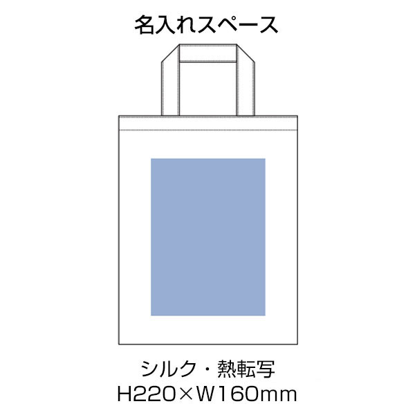 ライトキャンバスフラットバッグ（M）