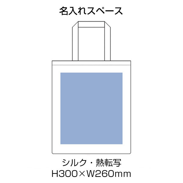 ライトキャンバスフラットバッグ（L）