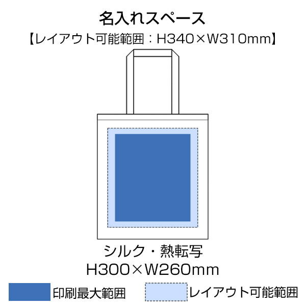 ライトキャンバスフラットバッグ（LL）