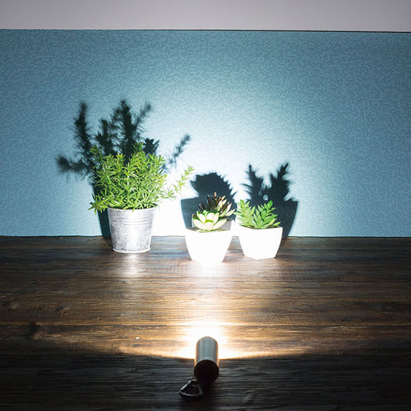 LED9灯カラビナ付ライト　スムース