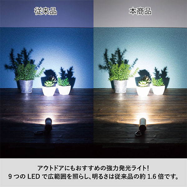 LED9灯カラビナ付ライト　スムース