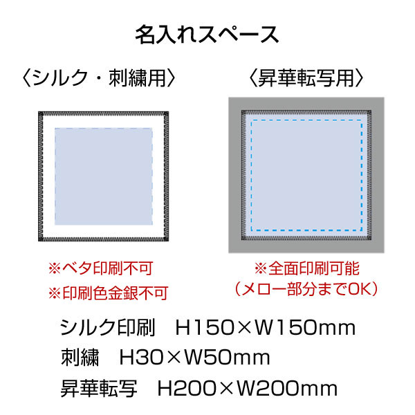 ピクチャースタイル　ミニタオル　
