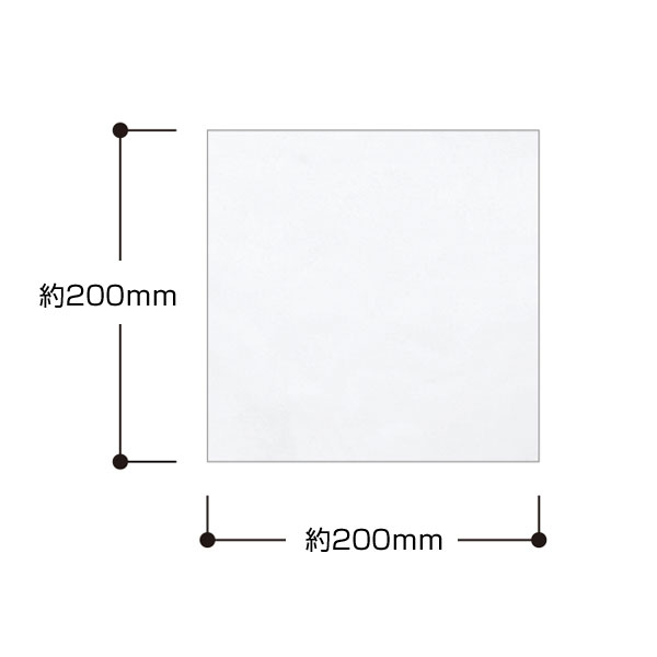 ピクチャースタイル　ミニタオル　