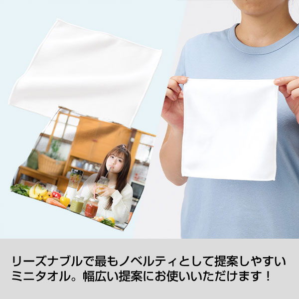 ピクチャースタイル　ミニタオル　