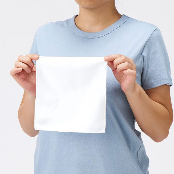 ピクチャースタイル　ミニタオル　