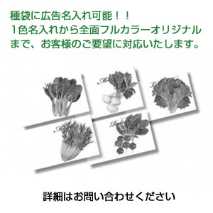 横型イラスト種子1個(野菜)