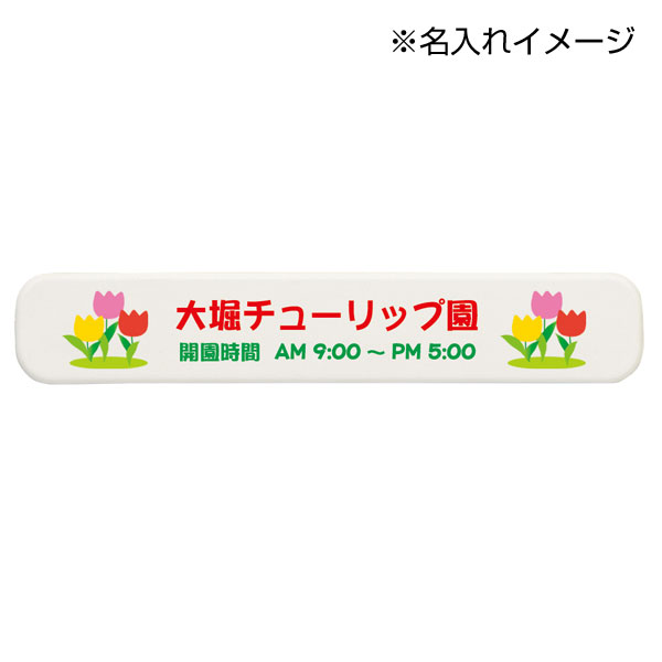 エコマグネバー