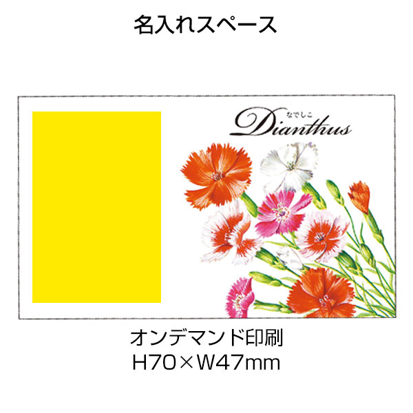 横型イラスト花の種子1個