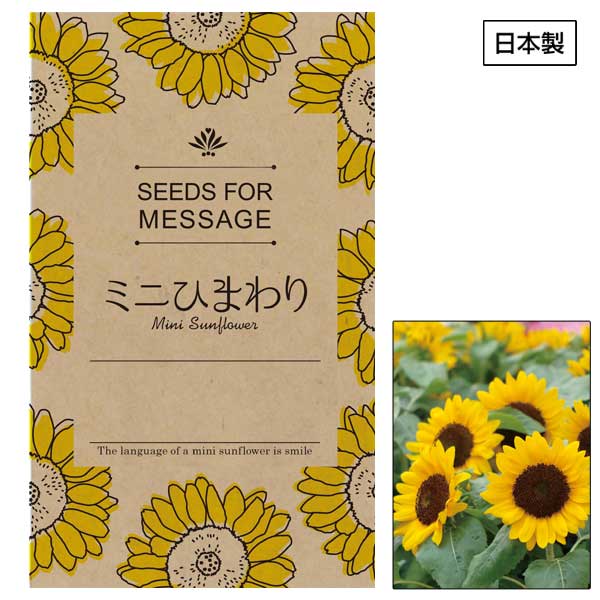 ミニひまわりの種子