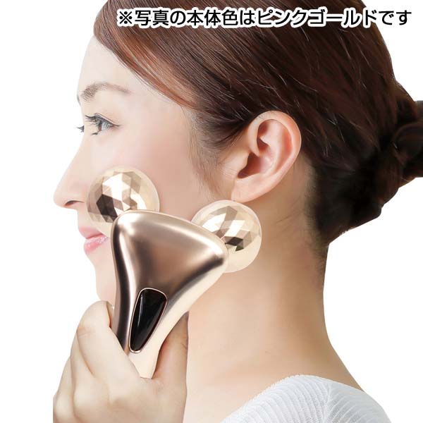 ハンディアップローラーリナージュ1個(シルバー)