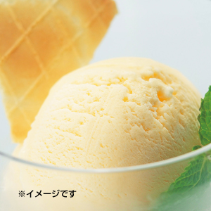 手づくり　アイスクリーマー 
