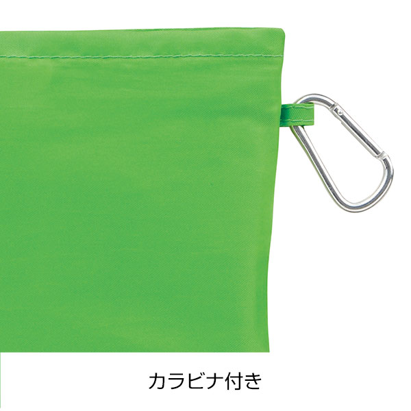 Ecolor　折りたたみビッグバッグ(グリーン)