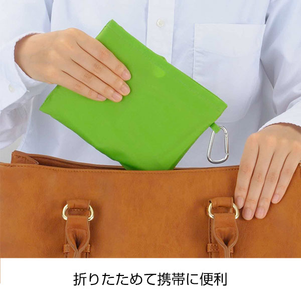 Ecolor　折りたたみビッグバッグ(グリーン)