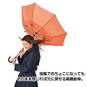 晴雨兼用耐風傘　1本