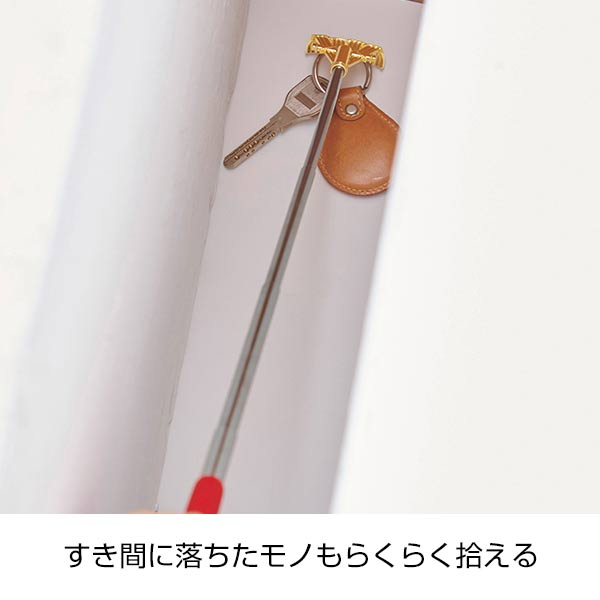金色の孫の手
