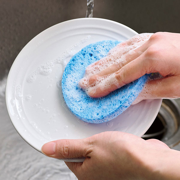 地球スポンジ　#CO2排出権付