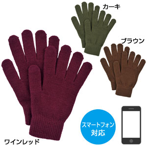 タッチグローブ 1双 グッズストアドットネット 人気ノベルティ 記念品 販促品 名入れ印刷