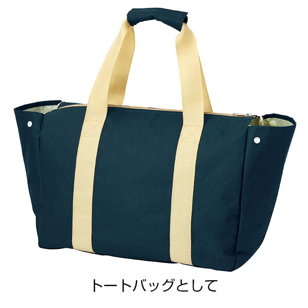 背負えるレジカゴラゲッジ