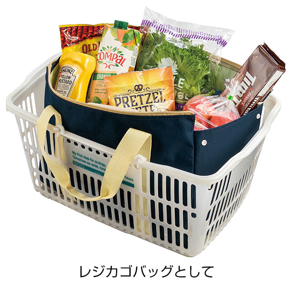 背負えるレジカゴラゲッジ