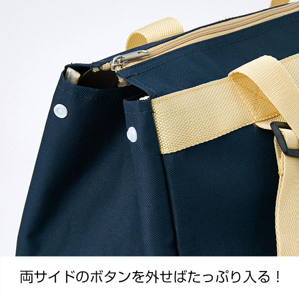 背負えるレジカゴラゲッジ