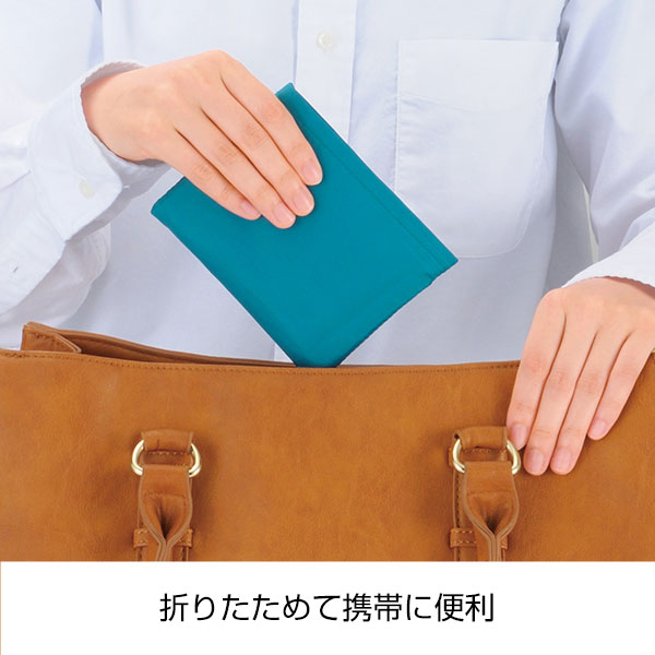 Ecolor　折りたたみマイバッグ(ブルー)