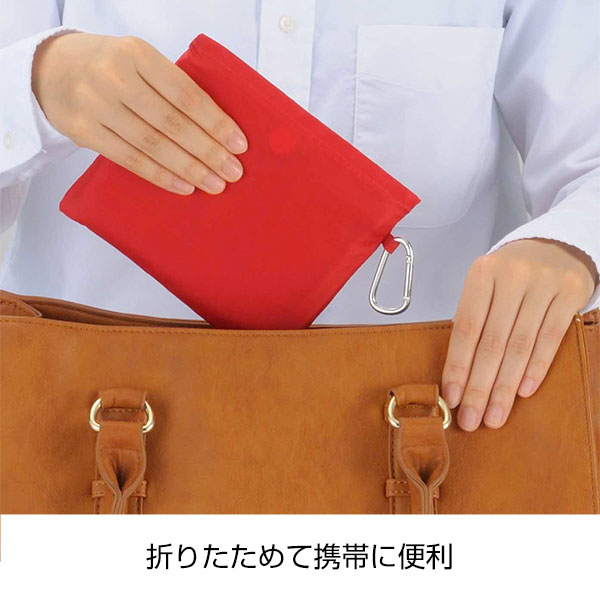 Ecolor　折りたたみビッグバッグ(レッド)