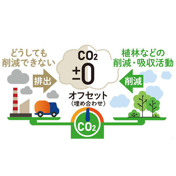 セルロース地球スポンジ　#CO2排出権付