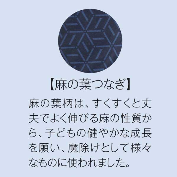 文様百趣  晴雨兼用折りたたみ傘&傘カバーセット