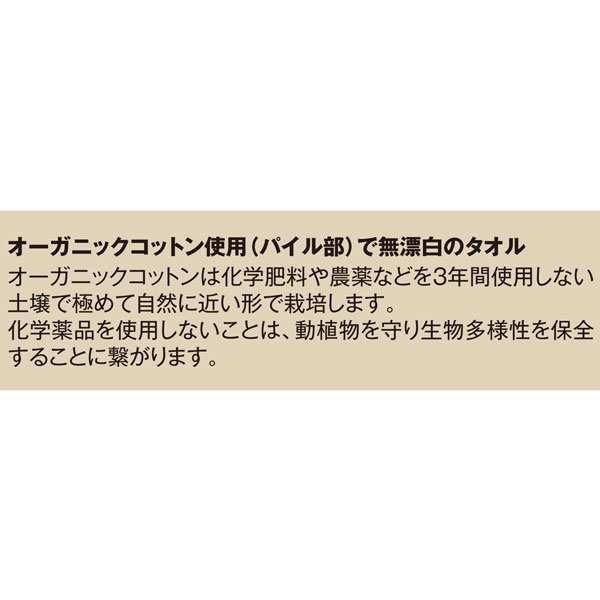 ザ・今治タオル　#sustainable