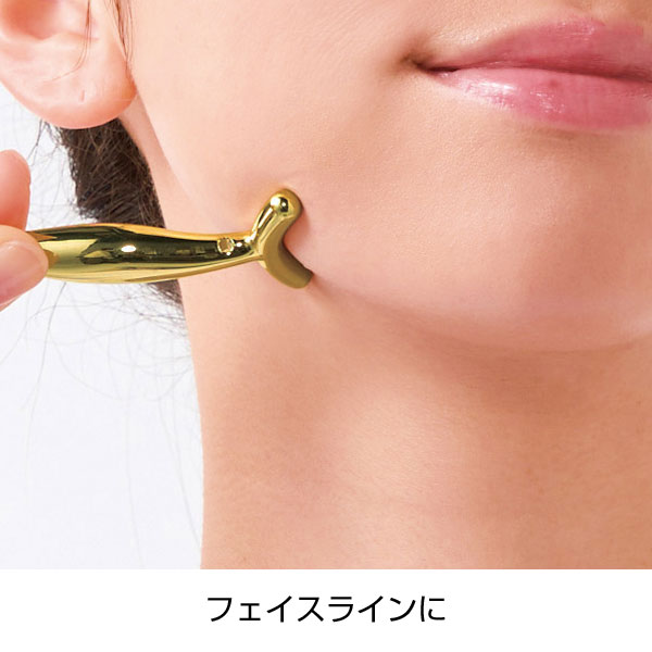 プレミアム　フェイシャルリフトバー