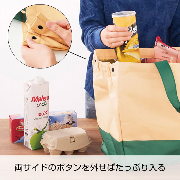 ザ・バッグ（再生ＰＥＴレジカゴタイプ）＃ｓｕｓｔａｉｎａｂｌｅ