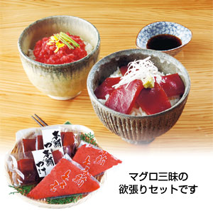 本マグロづけ・とろみセット