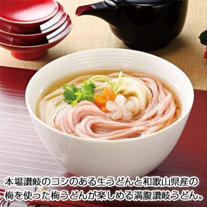 満福　紅白讃岐うどん4食組