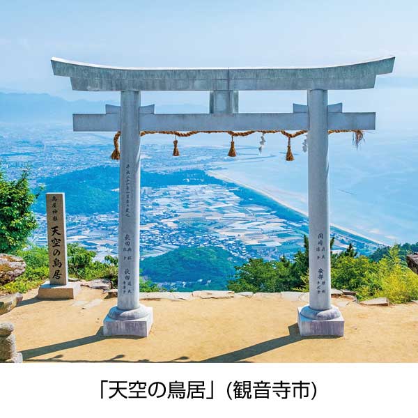 天空の宝　味くらべ讃岐半生うどん3食組