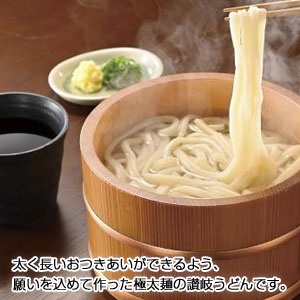 太く長いおつきあいを　極太麺さぬきうどん3食組