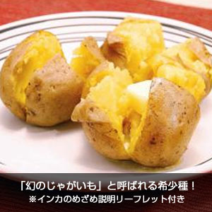 北海道産インカのめざめ2kg