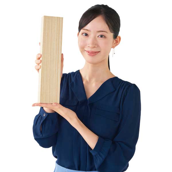 オールステンレス三徳包丁