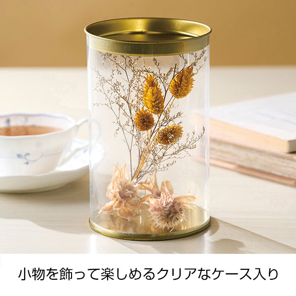 ＩＮ　ＣＡＳＥ　ブランケット１枚