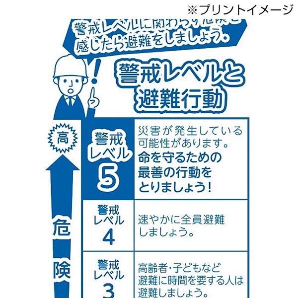水害対策プリントトイレットロールダブル(30m)