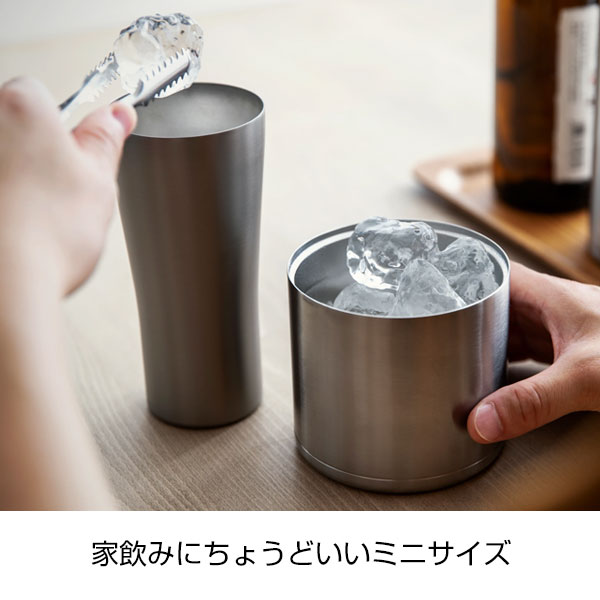 【名入れ可能】ピーコック ミニアイスペール0.55L［おうち居酒屋シリーズ］
